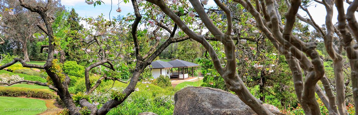Peter Bellingham Photography Japanese Garden - Cowra